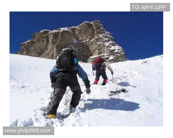 选择合适的登山杖长度对登山体验的重要性与技巧分享 选择合适的登山杖长度对登山体验的重要性与技巧分享