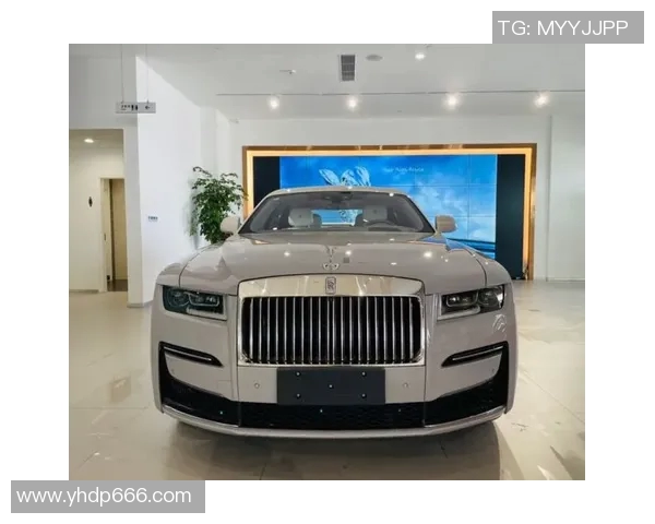 盛力世家引领潮流风尚探索时尚与传统的完美融合之路 盛力世家引领潮流风尚探索时尚与传统的完美融合之路