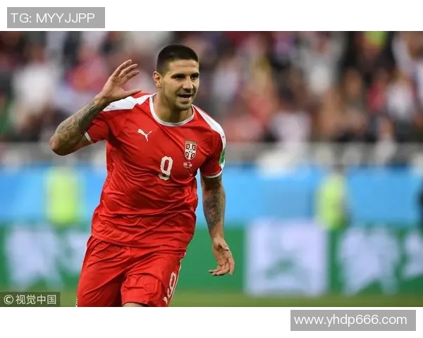 塞尔维亚对阵瑞士亚盘分析及投注建议解析